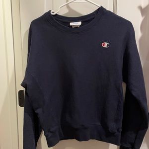 Champion sweater